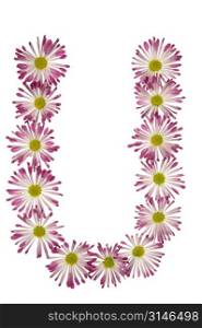 A U Made Of Pink And White Daisies