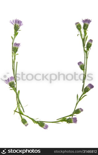 A U Made Of Purple Flowers