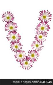 A V Made Of Pink And White Daisies