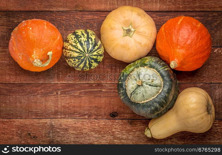 a variety of winter squash fruits on a rustic wooden table with a copy space, fall holiday background