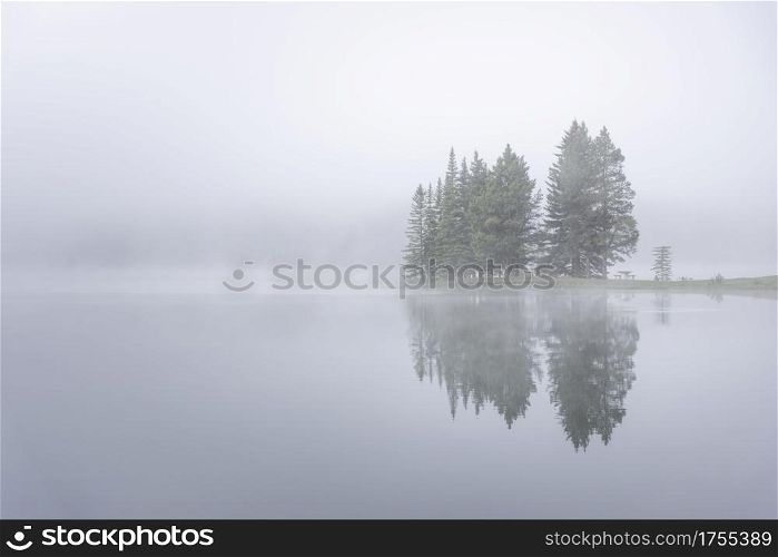 A very foggy morning at Two Jack Lake near the town of Banff.