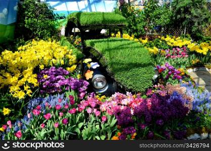 A very old VW beetle sitting in a beautiful flower show in a greenhouse inHamilton Ontario, Canada, in very early spring.