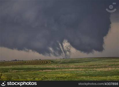 A very thin suction vortex tornado stretches to earth from a violently rotating wall cloud over farmland