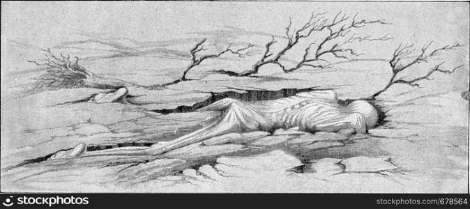 A victim of the tidal wave caused by the eruption of Krakatoa, vintage engraved illustration. From the Universe and Humanity, 1910.