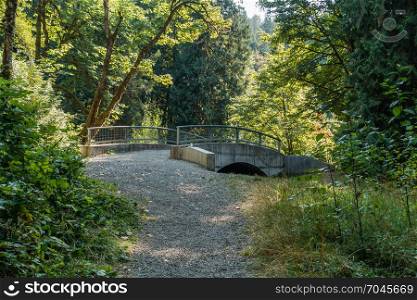 A view of a bridge at Falming Geyser State Park in Washington State.
