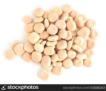 A view of a group of thermos beans, seen from directly above, on white with a light shadow