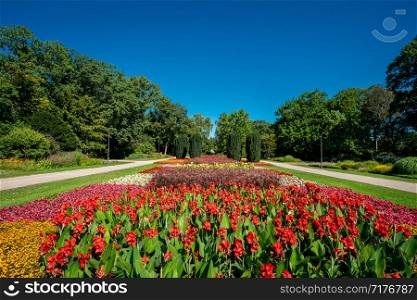 A view of a lawn and flower garden. beautiful park