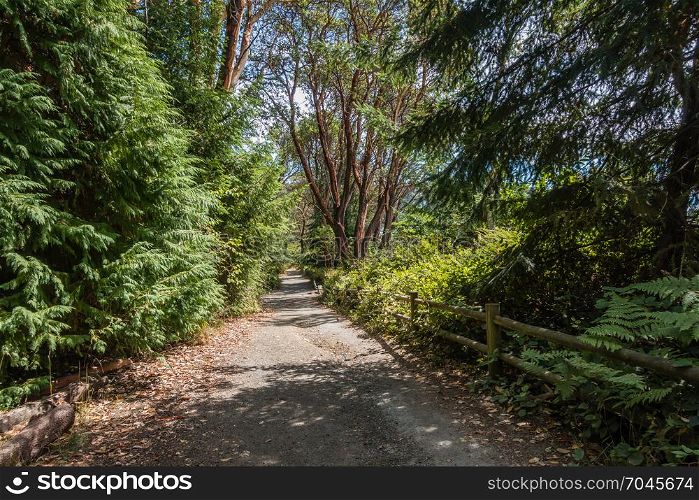 A view of a path and fence at Lincoln Park in West Seattle, Washington.