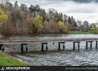 A view of a pier on Lake Washington in Seattle. Trees are in the background.