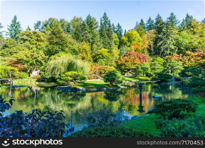 A view of a pond and foliage at a Seattle garend in autumn.