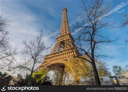 A view of Eiffel Tower in the morning in Paris, France