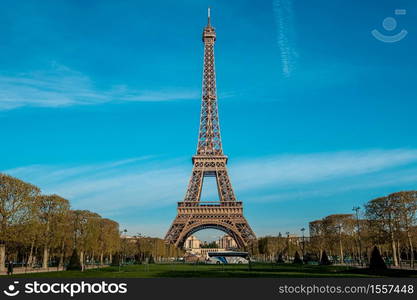 A view of Eiffel Tower in the morning in Paris, France