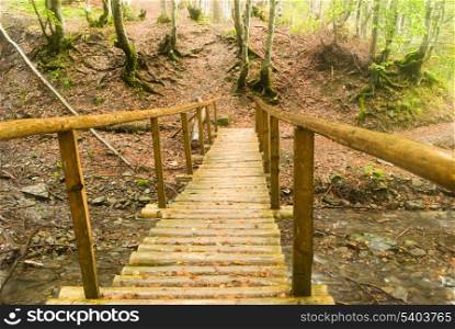 A view of forest&rsquo;s path and wooden bridge