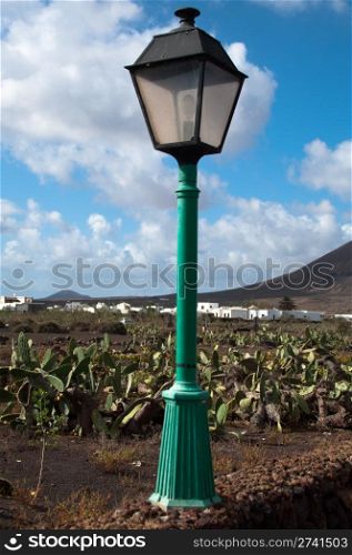 A view of Lanzarote, in the Canary Islands, Spain with cactus fields and streetlamp