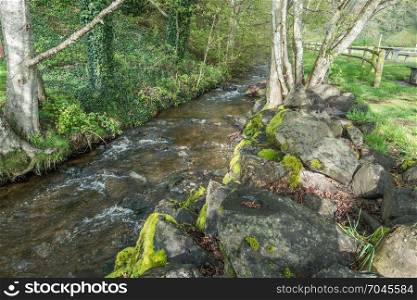 A view of McSorley Creek at Saltwater State park in Des Moines, Washington.