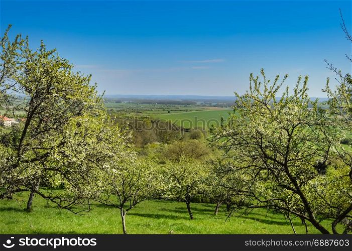 A view of the countryside in the Meuse . A view of the countryside in the Meuse with fruit trees in France