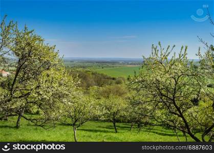 A view of the countryside in the Meuse . A view of the countryside in the Meuse with fruit trees in France