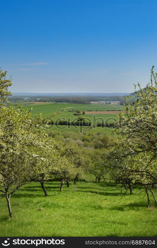 A view of the countryside in the Meuse . A view of the countryside in the Meuse with fruit trees in France