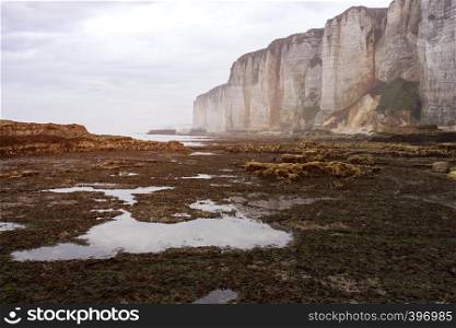 a view of the magical beautiful landscapes on the cliff of Etretat at low tide on a cloudy day. France