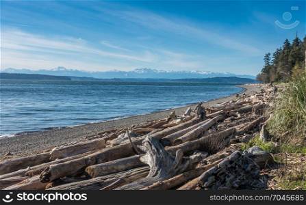 A view of the Olympic Mountains from Lincoln Park in West Seattle, Washington.