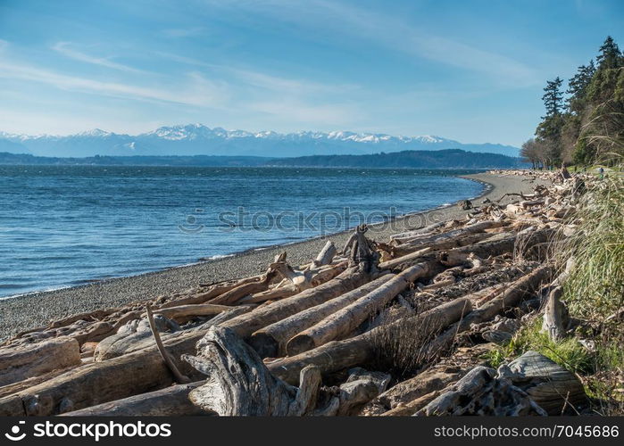 A view of the Olympic Mountains from Lincoln Park in West Seattle, Washington.