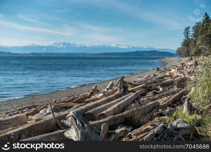 A view of the Olympic Mountains from Lincoln Park in West Seattle, Washington.