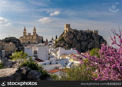 A view of the picturesque whitewashed village of Olvera in Andalusia