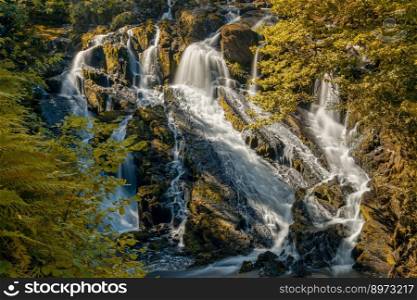A view of the Swallow Falls waterfall in Anglesey in northern Wales surrounded by lush green summer vegetation