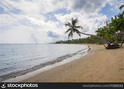 A view of tropical beach with sea sand palm trees and blue sky,Grand Bahia beach,El Portillo,Samana peninsula,Dominican republic.