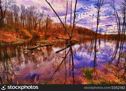 A view of wetlands in HDR.