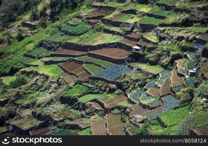 a village in the landscape on the Island of Madeira in the Atlantic Ocean of Portugal.. EUROPE PORTUGAL MADEIRA LANDSCAPE