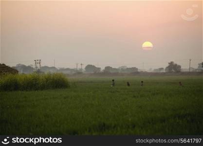 A village scene at sunset