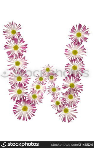 A W Made Of Pink And White Daisies