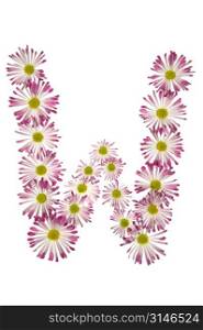 A W Made Of Pink And White Daisies
