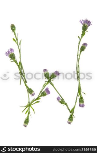 A W Made Of Purple Flowers