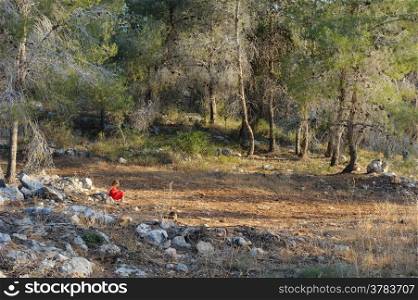A walk in the woods in the mountains of Israel, near Jerusalem
