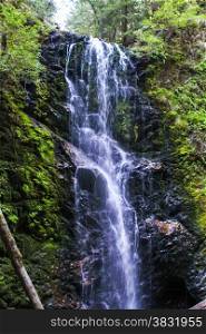 A waterfall deep in the Redwood forests of California.. Waterfall in the Redwoods