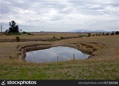 A waterhole in a dry paddock on a dull, cloudy day.
