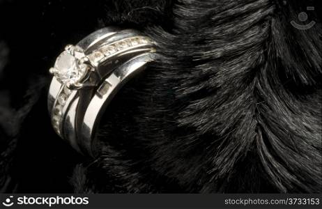 A wedding ring close up