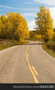 A well worn two lane road leads around a bend Autumn season fall color