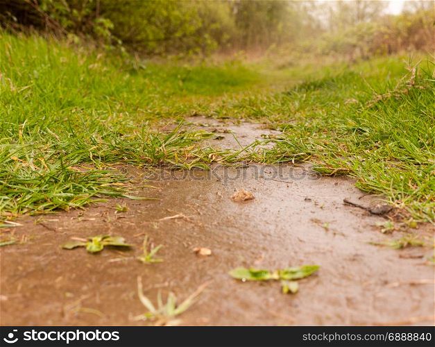 A Wet and Muddy Path Through the Countryside as seen from the ground level