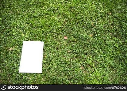 a white board is on a grass field, for message display. clipping path of the white board is in jpg.