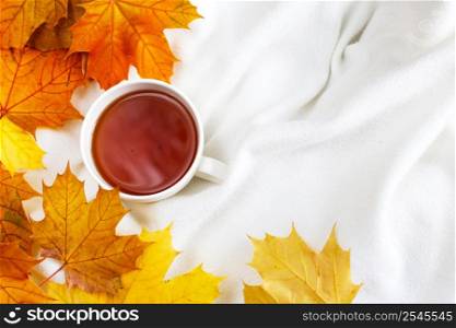 A white cup of coffee or tea with golden autumn leaves on a knitted white plaid background .top view flat lay. Fall concept. Cozy breakfast. white cup of coffee or tea with golden autumn leaves on a knitted white plaid background .top view. Fall concept.