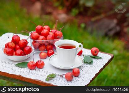 A white cup of hot tea with apples of paradise in the morning in the garden, with a blurred natural background. Good morning.. A white cup of hot tea with apples of paradise in the morning in the garden, with a blurred natural background.