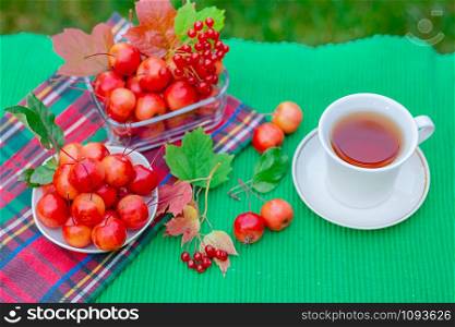 A white cup of hot tea with apples of paradise in the morning in the garden, with a blurred natural background. Good morning.. A white cup of hot tea with apples of paradise in the morning in the garden, with a blurred natural background.