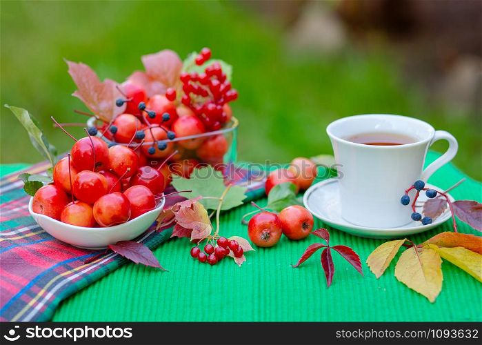 A white cup of hot tea with apples of paradise in the morning in the garden, with a blurred natural background. Good morning.. A white cup of hot tea with apples of paradise in the morning in the garden.