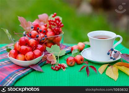 A white cup of hot tea with apples of paradise in the morning in the garden, with a blurred natural background. Good morning.. A white cup of hot tea with apples of paradise in the morning in the garden.