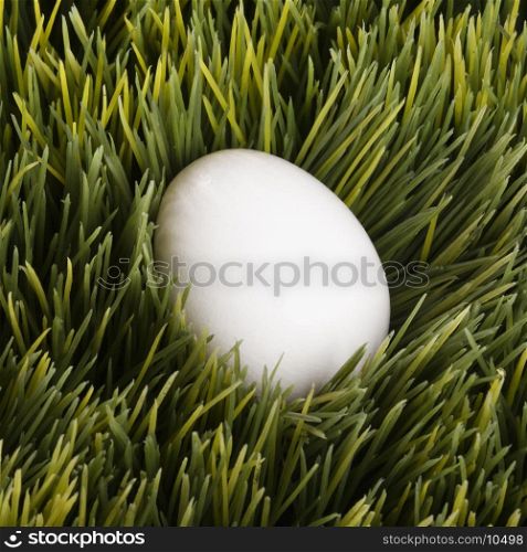 A white egg buried in grass.