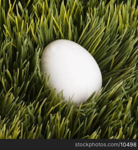 A white egg buried in grass.