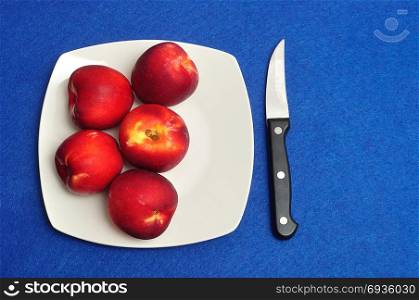 A white plate with nectarines and a knife isolated on a blue background